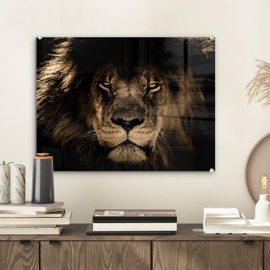 Tableau sur verre - Photo sur verre - Lion - Animaux - Zwart - Jungle -  Verre... | bol.com