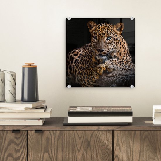 Cheeta's & luipaarden | Schilderijen & posters - Sfeer aan de Muur Cheeta's & luipaarden | Schilderijen & posters - Sfeer aan de Muur