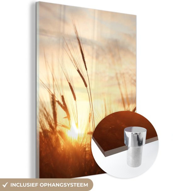 MuchoWow - Peinture sur verre - Photo sur verre - Roseau - Herbe - Soleil - Nature - 90x120 cm - Image sur verre - Décoration murale - Peinture nature - Verre acrylique