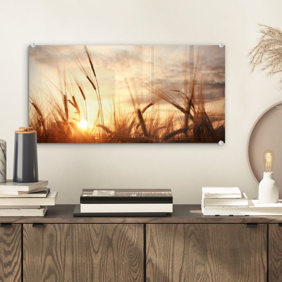 MuchoWow - Peinture sur verre - Photo sur verre - Roseau - Herbe - Soleil - Nature - 40x20 cm - Image sur verre - Décoration murale - Peinture nature - Verre acrylique