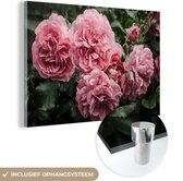 MuchoWow® Glasschilderij 180x120 cm - Schilderij acrylglas - Roze - Bloemen - Rozen - Foto op glas - Schilderijen
