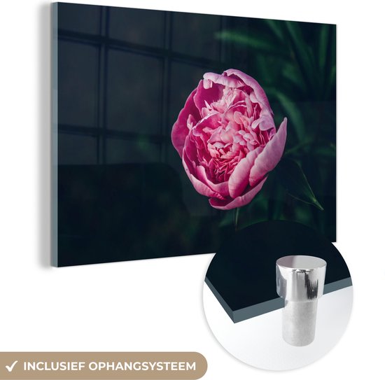 MuchoWow® Peinture sur Verre - Fleurs - Rose - Roses - 150x100 cm - Peintures sur Verre Peintures - Photo sur Glas