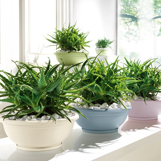 Veca Veneta Casalinghi Vaso da Giardino Ciotola Naxos 30 CM con SOTTOVASO Bianco