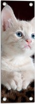 WallClassics - Tuinposter – Witte Poserende Kitten op Dierenprint Kleedje - 20x60 cm Foto op Tuinposter (wanddecoratie voor buiten en binnen)