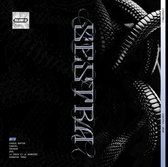 Various Artists - Vasstr01 - Vol. 1 (Cassie Raptor) (LP)