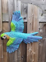 Vogel perroquet bleu suspendu