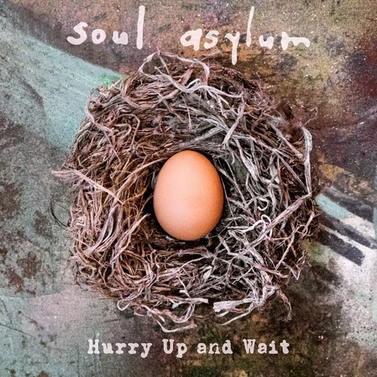Soul Asylum - Hurry Up And Wait (7" Single) (Deluxe Edition)