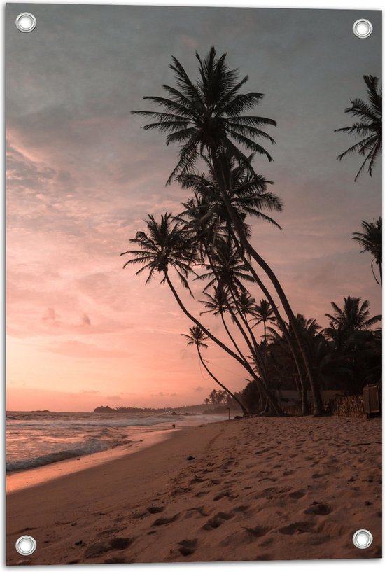 WallClassics - Tuinposter – Groepje Hoge Palmbomen op het Strand bij Zonsondergang - 40x60 cm Foto op Tuinposter (wanddecoratie voor buiten en binnen)