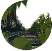 Dibond Muurcirkel - Begroeiing over het Spoor - 60x60 cm Foto op Aluminium Muurcirkel (met ophangsysteem)