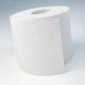 RECYCLED Papier - Voordeeldoos toiletpapier 27 XXL rollen 250 vellen - 3 lagen