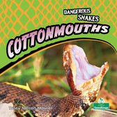 Dangerous Snakes - Cottonmouths