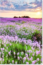 Tuinposter bloemen - Lavendel - Landschap - Zonsondergang - Natuur - Lucht - Tuin - Tuindecoratie - Tuinschilderij voor buiten - Schutting decoratie - 80x120 cm - Schuttingdoek - Tuindoek - Buitenposter