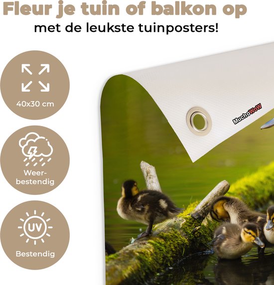 Décoration de Jardin Canard - Vogels - Water - Branche - Mousse - 40x30 cm