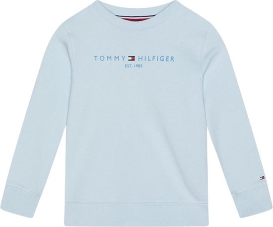 Tommy hilfiger 2025 sweater kids