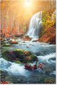 Affiche jardin cascade - CM 2:3 4-2