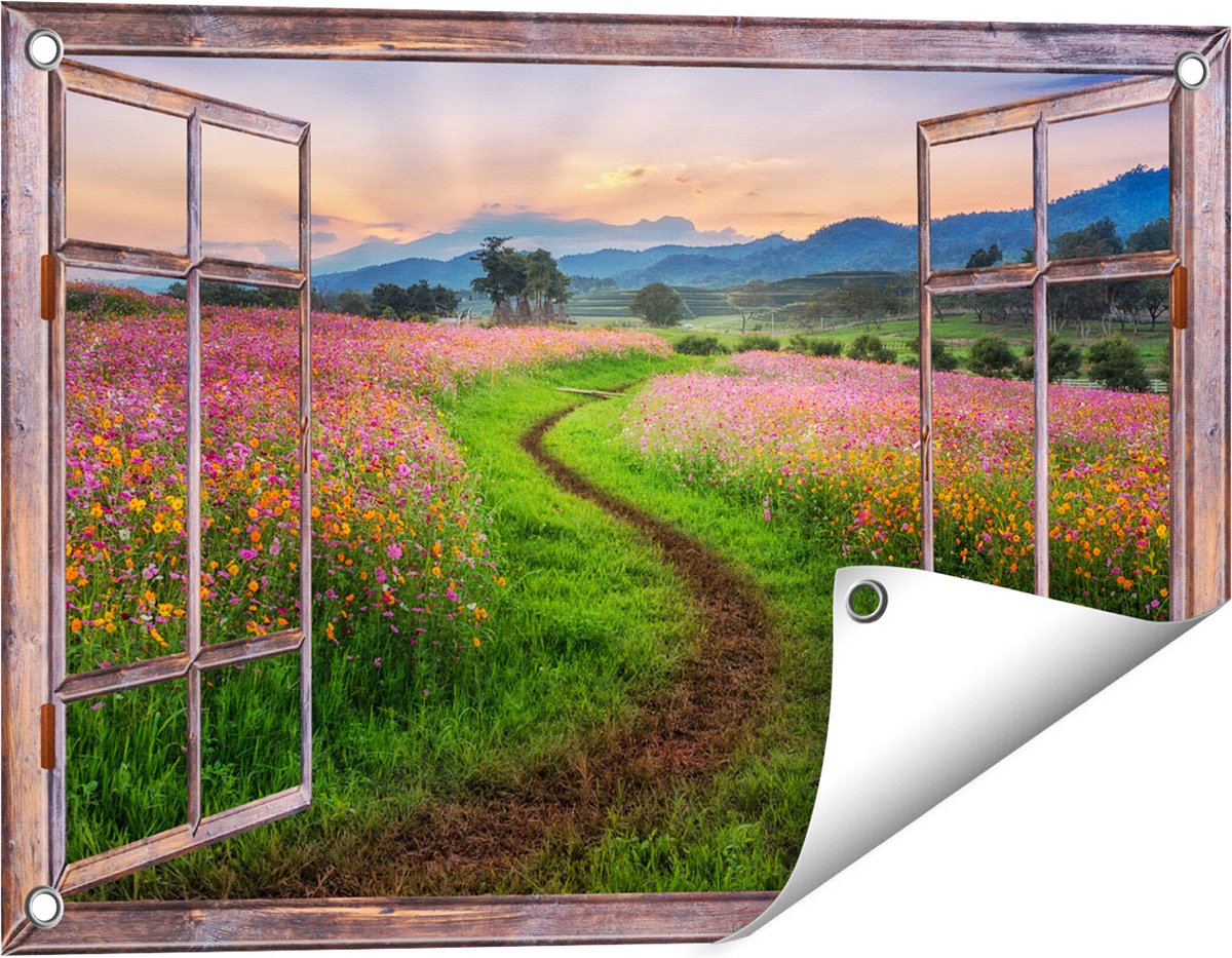 Gards Tuinposter Doorkijk Kosmos Bloemenveld met een Pad - Bloemen - 60x40 cm - Tuindoek - Tuindecoratie - Wanddecoratie buiten - Tuinschilderij