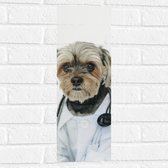 Muursticker - Hond Verkleed als Dokter - 20x60 cm Foto op Muursticker