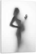 Dibond - Silhouet van Zwanger Vrouwenlichaam achter Wazige Wand - 80x120 cm Foto op Aluminium (Met Ophangsysteem)