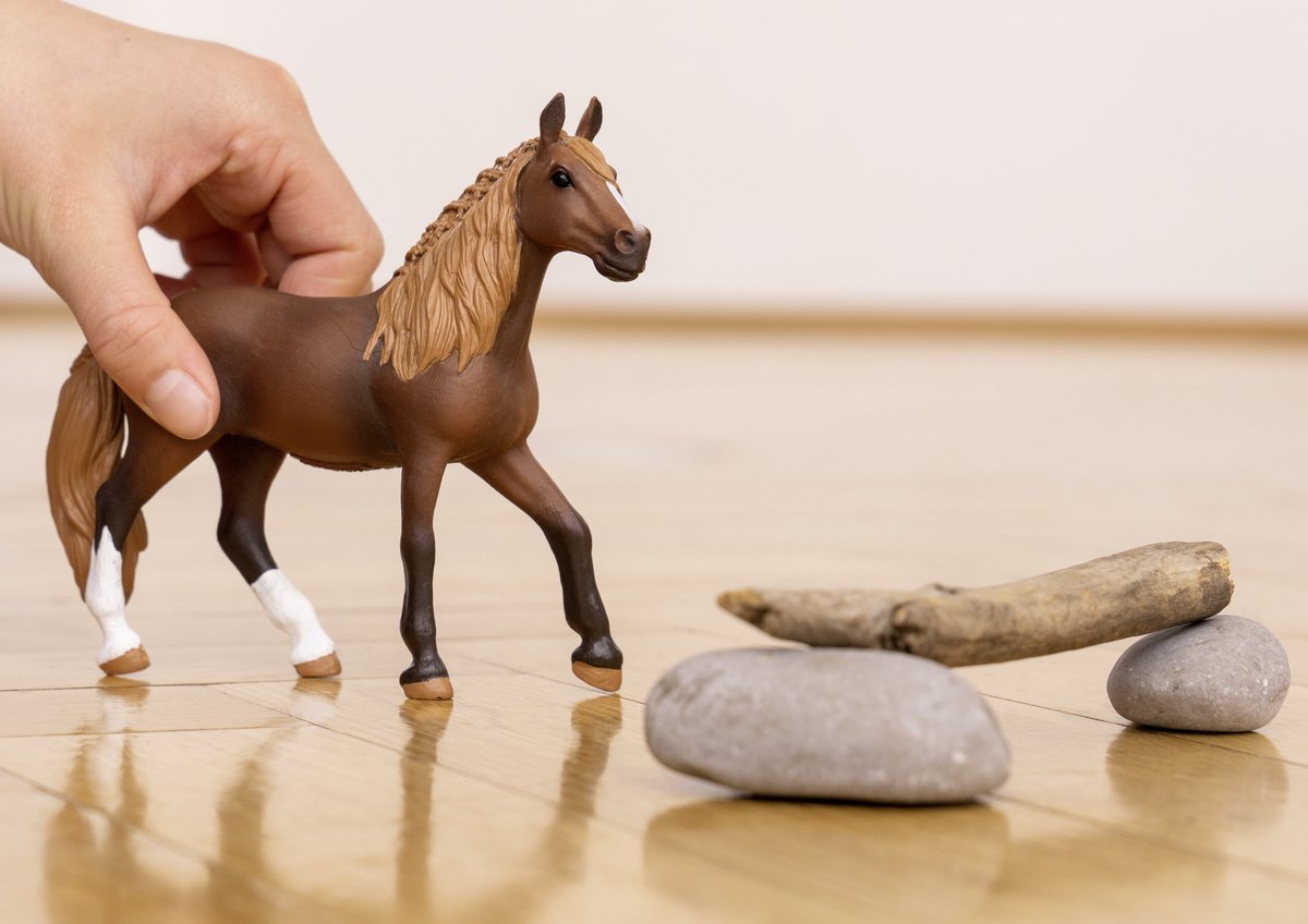 schleich HORSE CLUB 13952 Paso Peruano Étalon pour enfants à partir de 5 à  12 ans : : Jouets