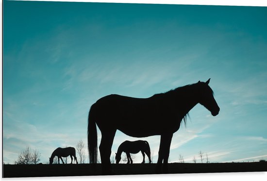 Dibond - Silhouet van Paarden in het Weiland onder Lichtblauwe Lucht - 105x70 cm Foto op Aluminium (Wanddecoratie van metaal)