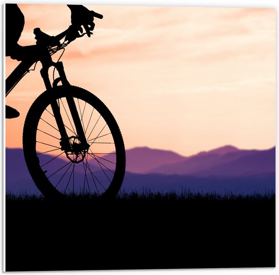 PVC Schuimplaat- Silhouet van Persoon op Mountainbike Fietsend door Berggebied - 50x50 cm Foto op PVC Schuimplaat