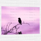 Muursticker - Silhouet van een Klein Vogeltje tegen Paarskleurige Lucht - 100x75 cm Foto op Muursticker