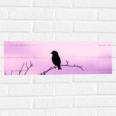 Muursticker - Silhouet van een Klein Vogeltje tegen Paarskleurige Lucht - 60x20 cm Foto op Muursticker