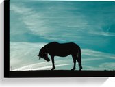 Canvas - Silhouet van Buigend Paard onder Stralend Blauwe Lucht - 40x30 cm Foto op Canvas Schilderij (Wanddecoratie op Canvas)