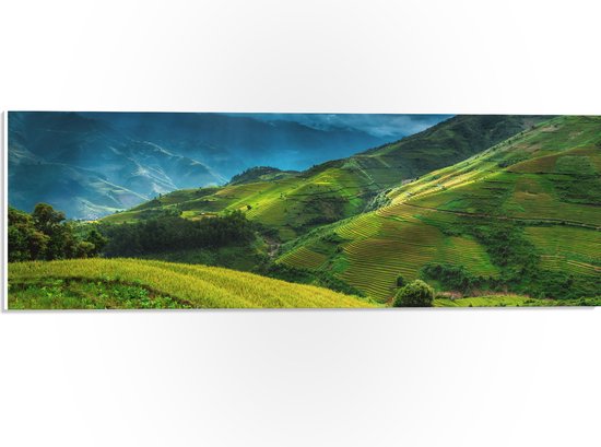 PVC Schuimplaat- Rijstvelden in de Bergen van Indonesië - 60x20 cm Foto op PVC Schuimplaat