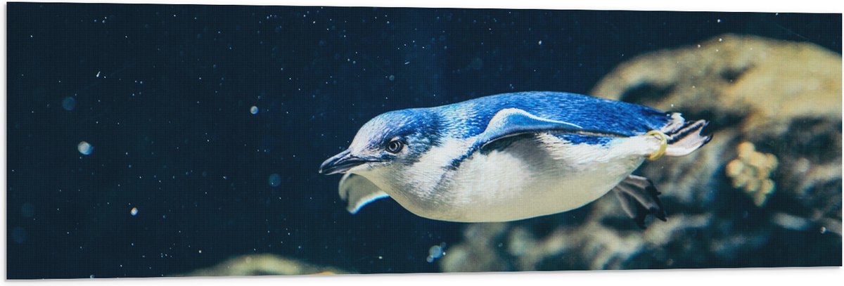 Vlag - Zwemmende Blauwe Pingïun door Aquarium - 120x40 cm Foto op Polyester Vlag
