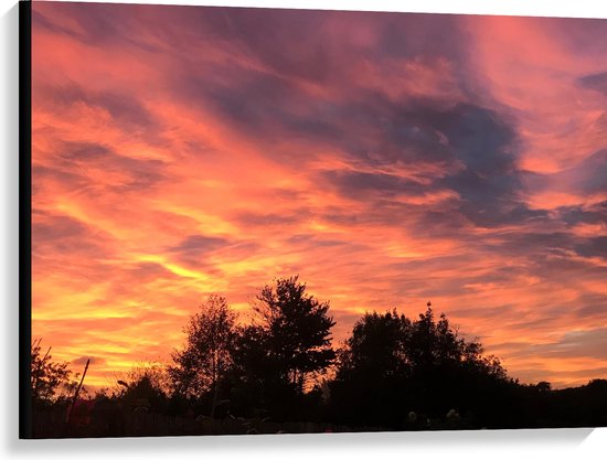 Canvas - Roze Gloed in Lucht boven Silhouet van Bomen - 100x75 cm Foto op Canvas Schilderij (Wanddecoratie op Canvas)