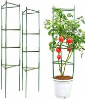Hilvard - Plantensteun - 2 stuks - Klimplantenrek - Tomatenspiraal - Plantenstok - Bindmaterialen - Kamerplant - Buitenplant - 120 cm