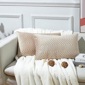 Set van 2 fluwelen kussens met kleine kussensloop, sierkussensloop, bankkussen, sierkussen voor bank, woonkamer, auto, 40 x 80 cm, taupe