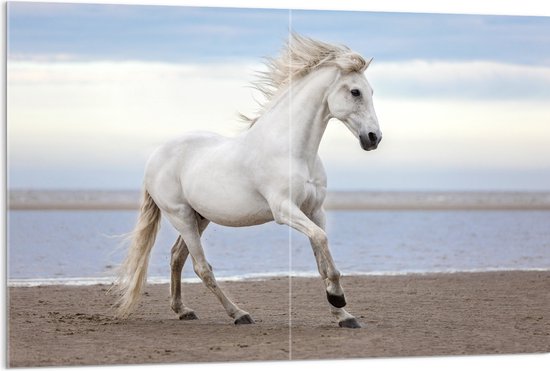 Acrylglas - Sierlijk Wit Paard lopend over het Strand aan de Zee - 120x80 cm Foto op Acrylglas (Wanddecoratie op Acrylaat)