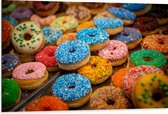 Dibond - Rij Verse Donuts met Verschillende Kleuren Sprinkles - 105x70 cm Foto op Aluminium (Wanddecoratie van metaal)