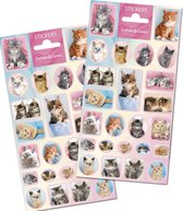 Stickervellen Kittens - Stickers Katten - Lieve Katjes Stickervellen - Stickervellen - Stickers Huisdieren - Dieren Stickers - Knutselen Meisjes - Knutselen Jongens - Beloningsstickers - Kat - Stickers Kleuters - Kitten - Kittens