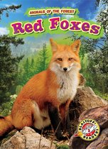 Animals of the Forest - Red Foxes