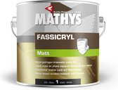 Mathys Fassicryl Matt - Wit - 2.5L