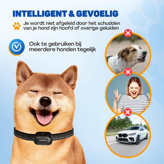 Intelligente anti-blafband reageert niet op hoofd schudden, maar wel op blaffen. Voorbeeld van blaffende hond, vrouw en auto.