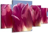 GroepArt - Schilderij -  Tulpen - Wit, Paars - 160x90cm 4Luik - Schilderij Op Canvas - Foto Op Canvas
