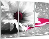 GroepArt - Schilderij -  Bloem - Grijs, Wit, Roze - 120x80cm 3Luik - 6000+ Schilderijen 0p Canvas Art Collectie