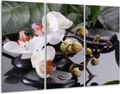 GroepArt - Schilderij -  Orchidee - Geel, Zwart, Wit - 120x80cm 3Luik - 6000+ Schilderijen 0p Canvas Art Collectie