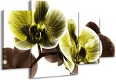GroepArt - Schilderij -  Orchidee - Geel, Grijs - 160x90cm 4Luik - Schilderij Op Canvas - Foto Op Canvas