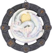 Something Different - Ostara Dragon Muurdecoratie - Multicolours