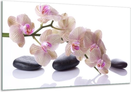 Peinture sur verre d'orchidée | Blanc, noir, rose | 120x70cm 1Hatch | Tirage photo sur verre |  F006151