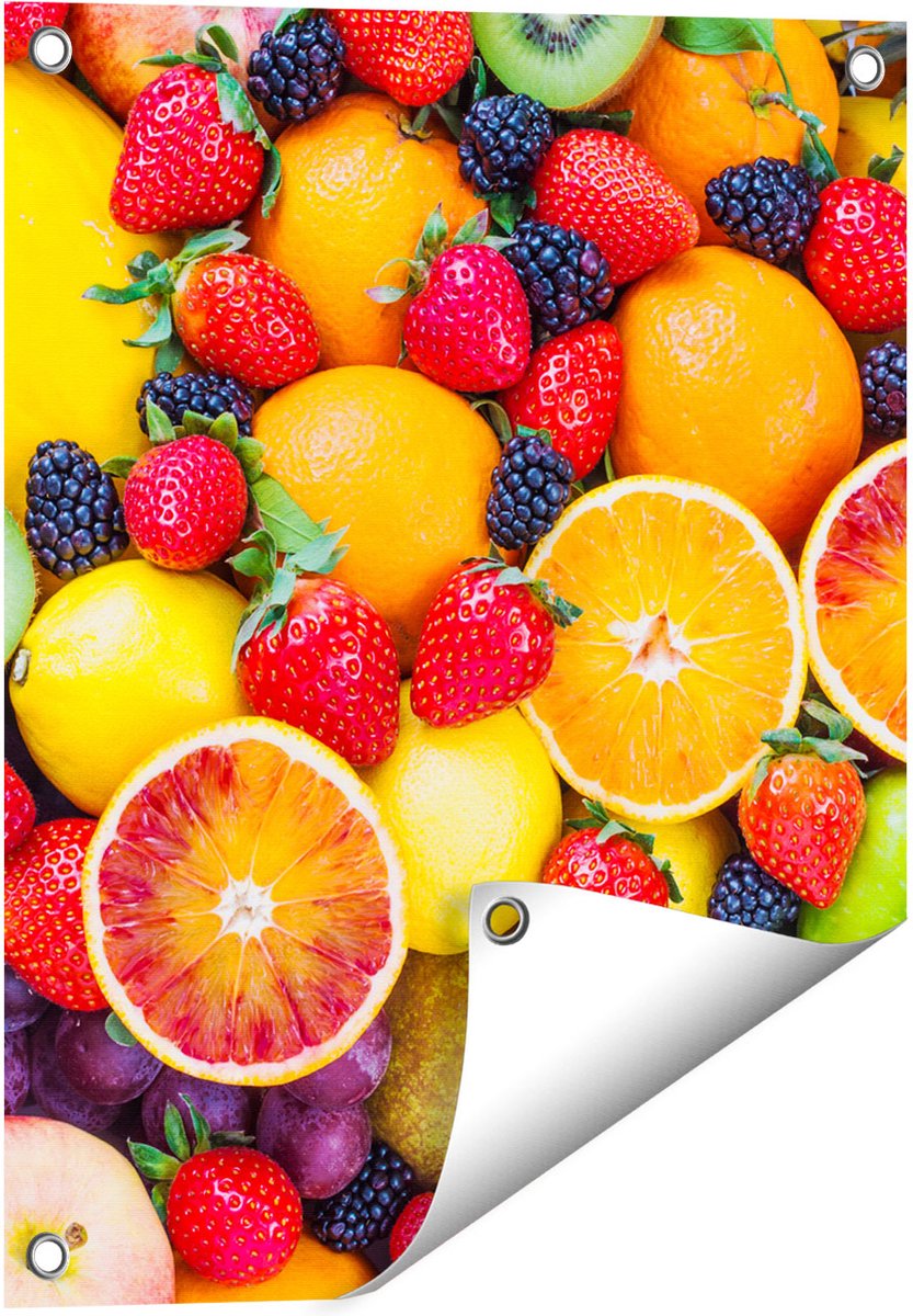 Gards Tuinposter Kleurrijke Fruit Achtergrond - 40x50 cm - Tuindoek - Tuindecoratie - Wanddecoratie buiten - Tuinschilderij Multikleur