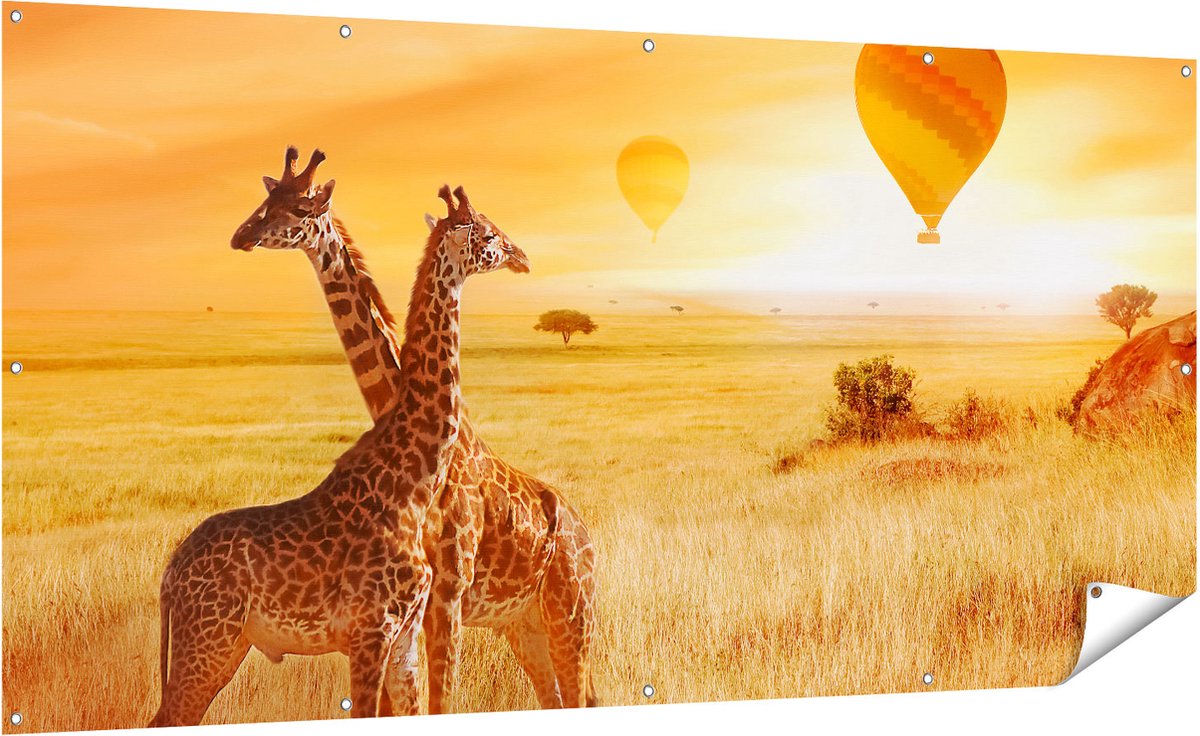 Gards Tuinposter Twee Giraffen met Twee Oranje Luchtballonnen - 200x100 cm - Tuindoek - Tuindecoratie - Wanddecoratie buiten - Tuinschilderij Multikleur