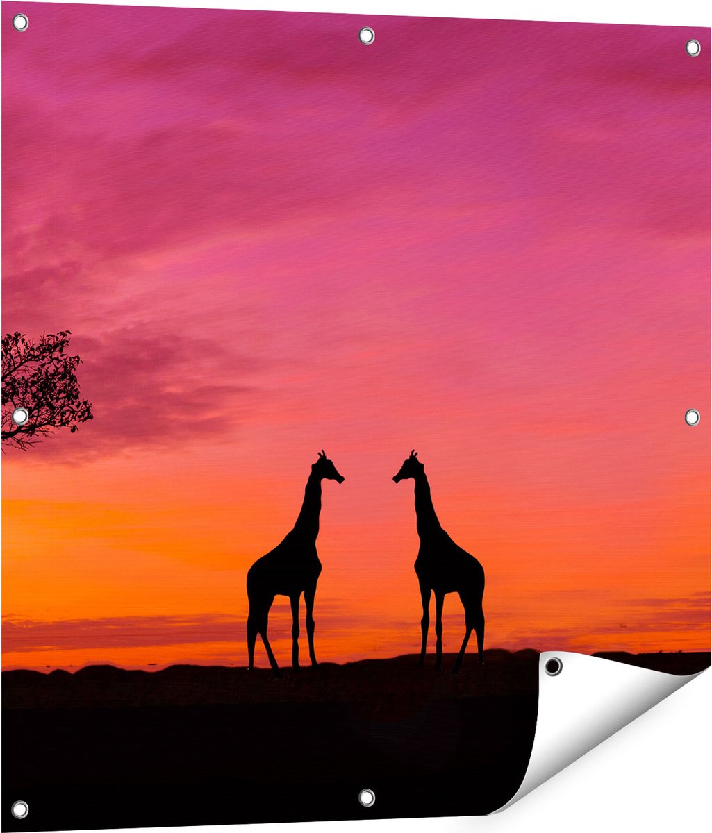 Gards Tuinposter Twee Giraffe Silhouetten bij Zonsondergang - 80x80 cm - Tuindoek - Tuindecoratie - Wanddecoratie buiten - Tuinschilderij Multikleur
