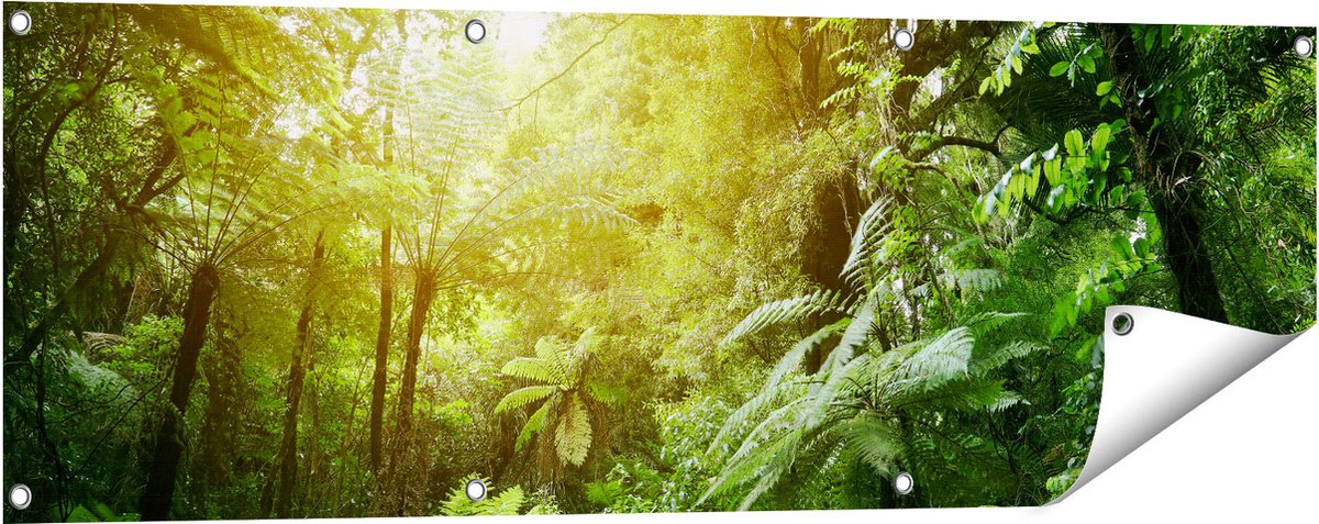 Gards Tuinposter Tropische Jungle met Zonneschijn - 120x40 cm - Tuindoek - Tuindecoratie - Wanddecoratie buiten - Tuinschilderij Multikleur