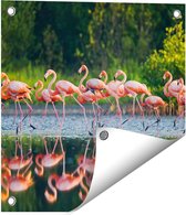Gards Tuinposter Kudde Flamingo's op het Water - 40x40 cm - Tuindoek - Tuindecoratie - Wanddecoratie buiten - Tuinschilderij